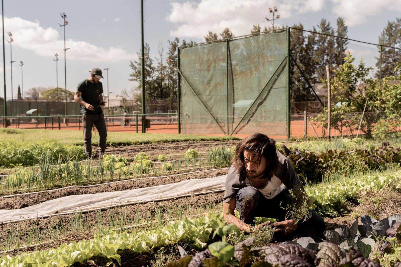 Trabajadores en la huerta de Mezcla Casa Gastronómica en el barrio de Saavedra en Buenos Aires, Argentina el 30 de septiembre 2026.