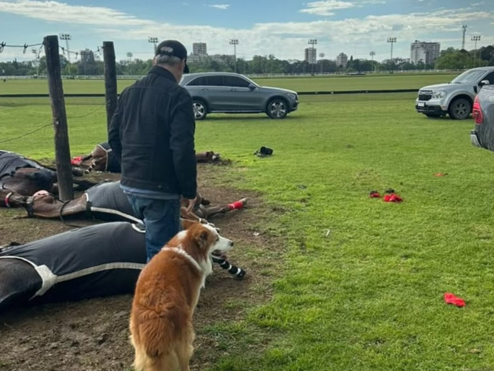 de quién eran los cuatro caballos muertos y los detalles del trágico momento