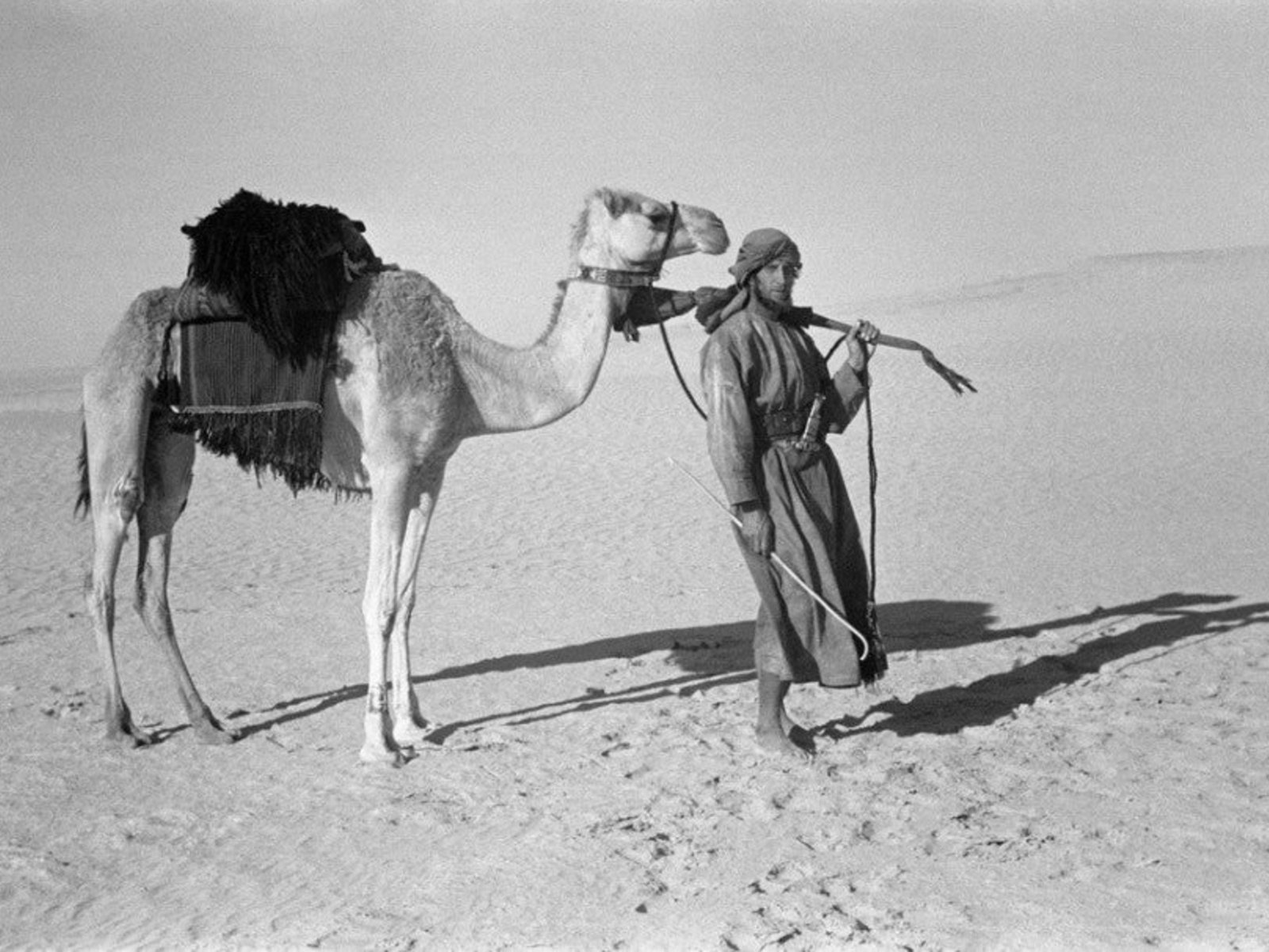 nació en cuna de oro y eligió el hambre, la sed y los camellos para convertirse en explorador