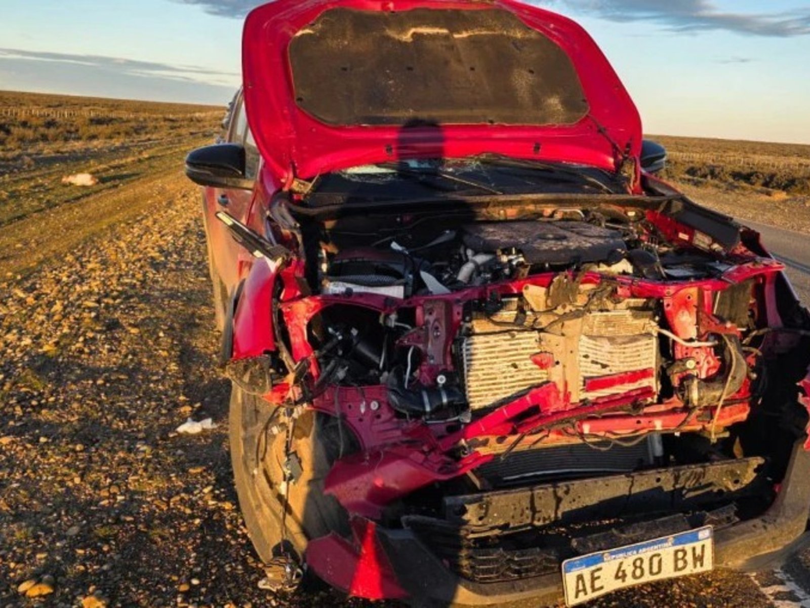 se le cruzó un guanaco cuando viajaba hacia El Chaltén